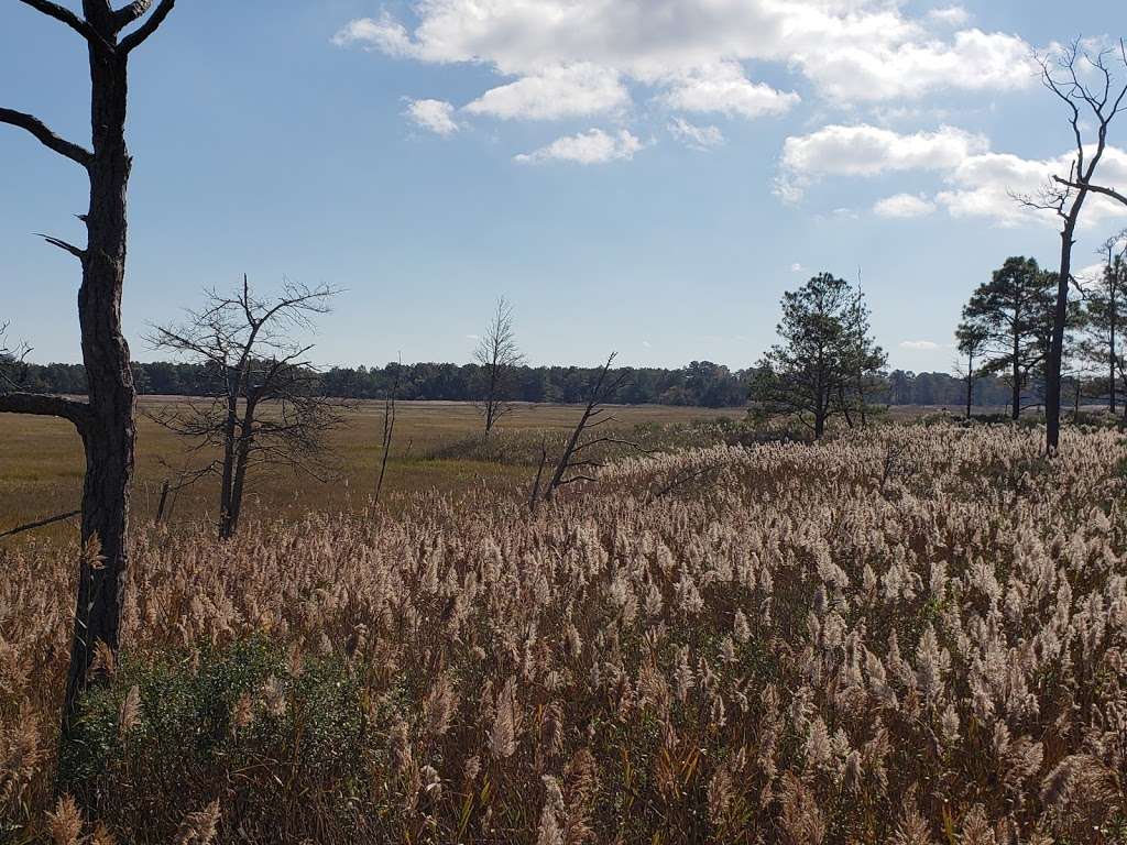 James Farm Ecological Preserve | 30048 Cedar Neck Rd, Ocean View, DE 19970, USA | Phone: (302) 226-8105