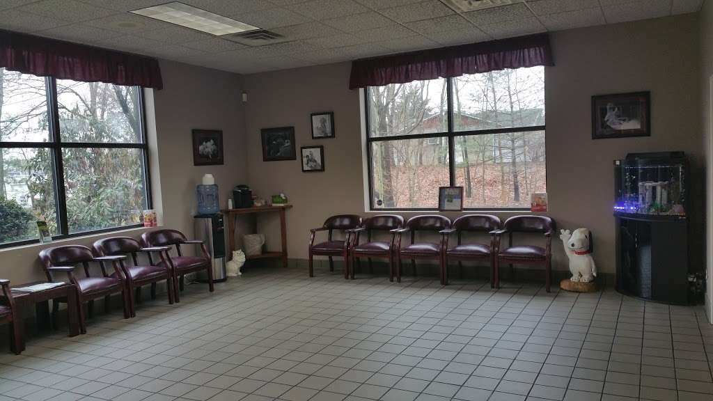 Barton Heights Veterinary Hospital | 117 Terrace Dr, Stroudsburg, PA 18360, USA | Phone: (570) 424-6773