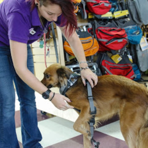 Wag N Wash Natural Pet Food & Grooming | 1234 E Woodmen Rd, Colorado Springs, CO 80920 | Phone: (719) 228-9274