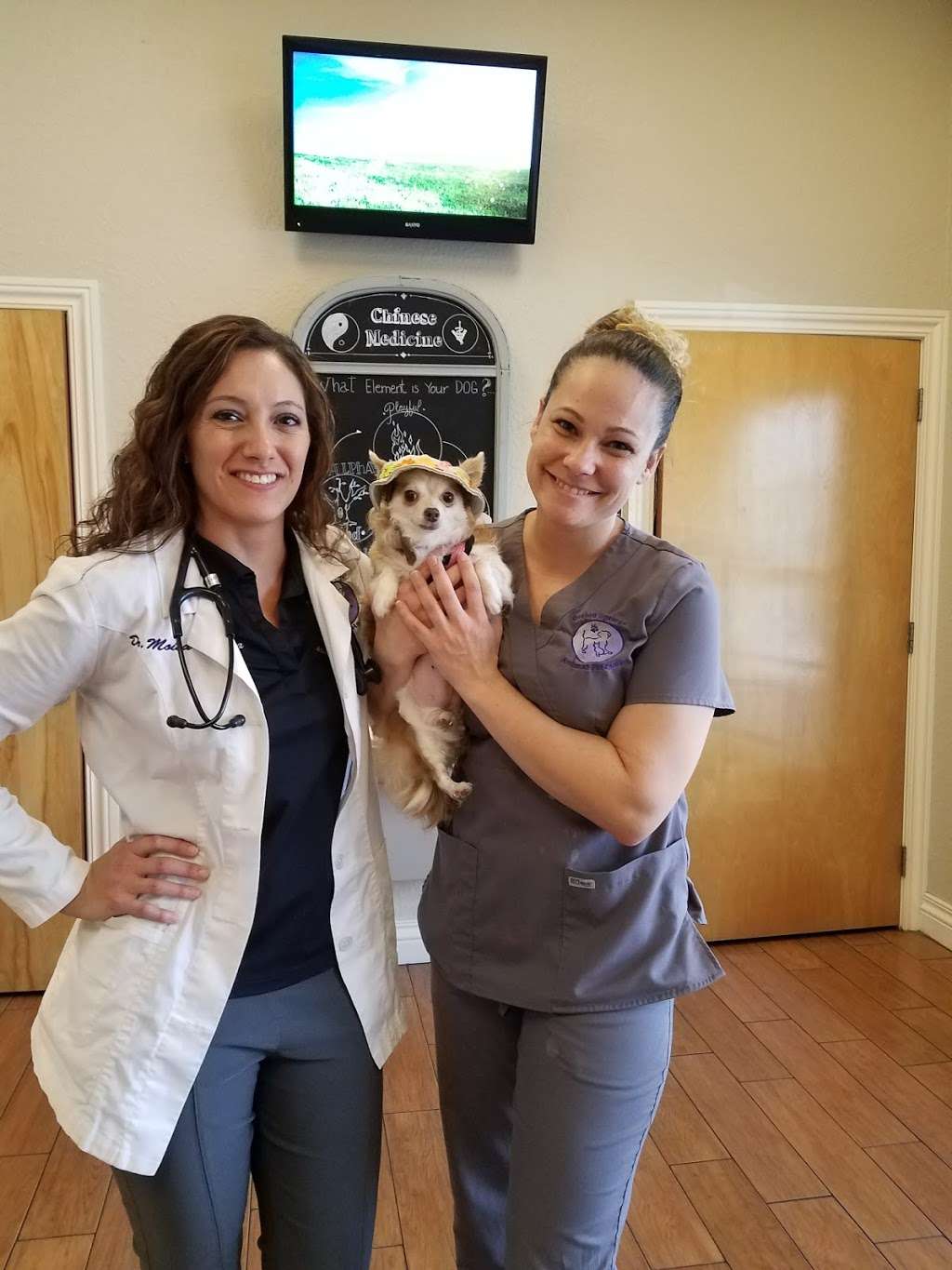 Orchid Springs Animal Hospital | 615 Overlook Dr, Winter Haven, FL 33884, USA | Phone: (863) 777-5600