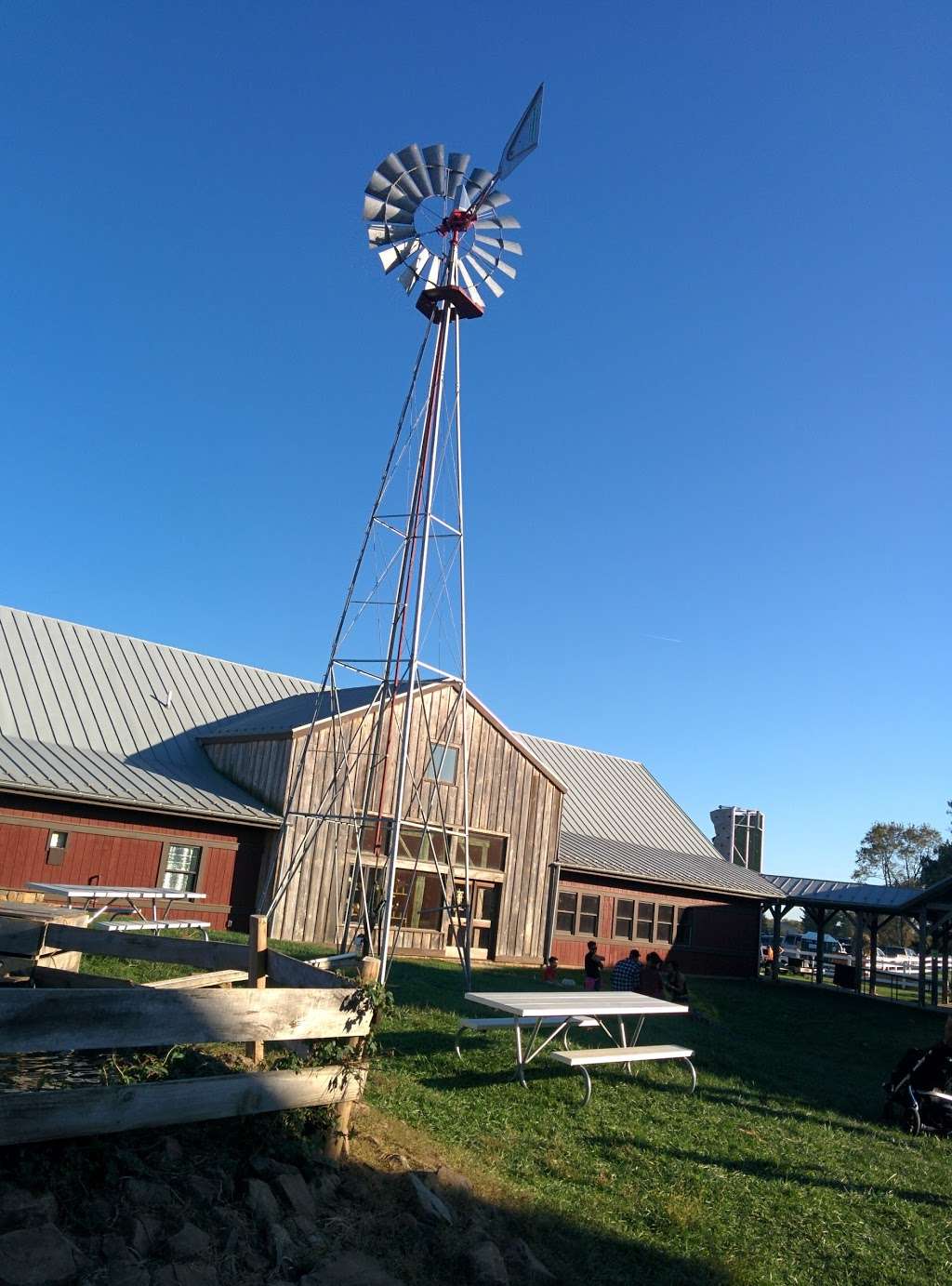 Temple Hall Fall Festival & Corn Maize | 15855 Limestone School Rd, Leesburg, VA 20176, USA | Phone: (703) 779-9372