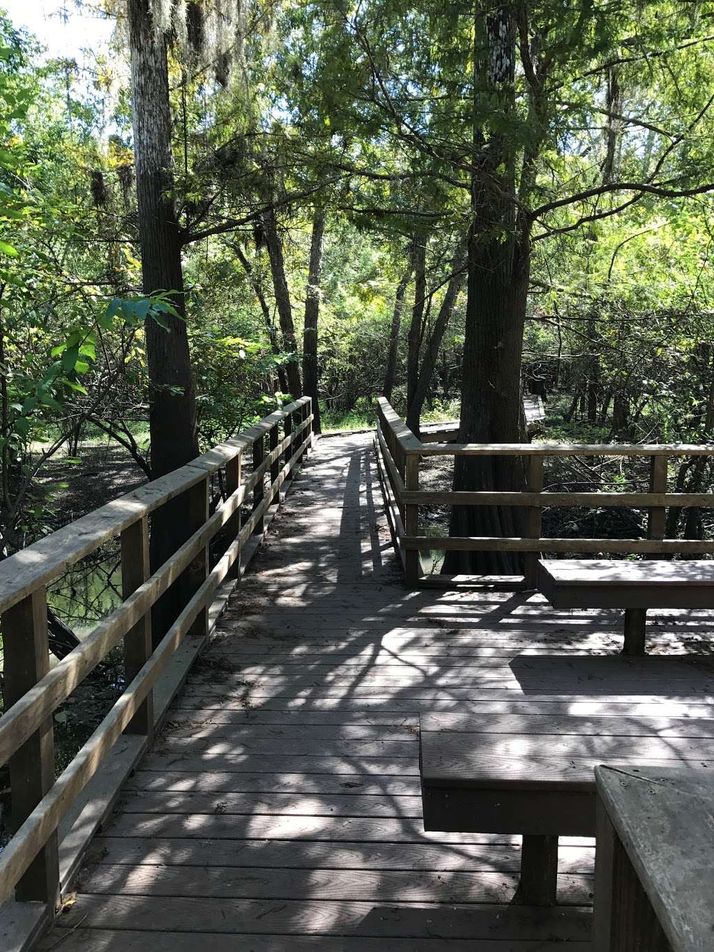 Knobby Knees Trail, Trinity River National Wildlife Refuge | Revinson Dr, Liberty, TX 77575, USA | Phone: (936) 336-9786