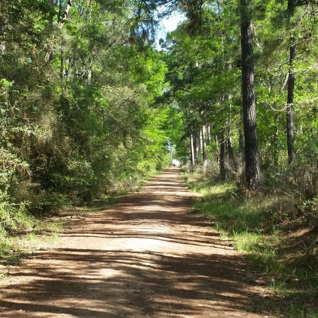 W G Jones State Forest | 1328 Farm to Market Rd 1488, Conroe, TX 77384, USA | Phone: (936) 273-2261