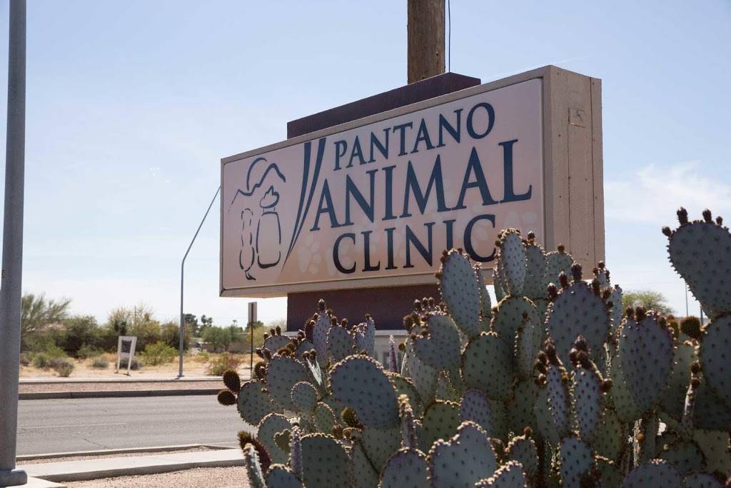 Pantano Animal Clinic, PC | 8333 22nd, E St, Tucson, AZ 85710, USA | Phone: (520) 885-3594