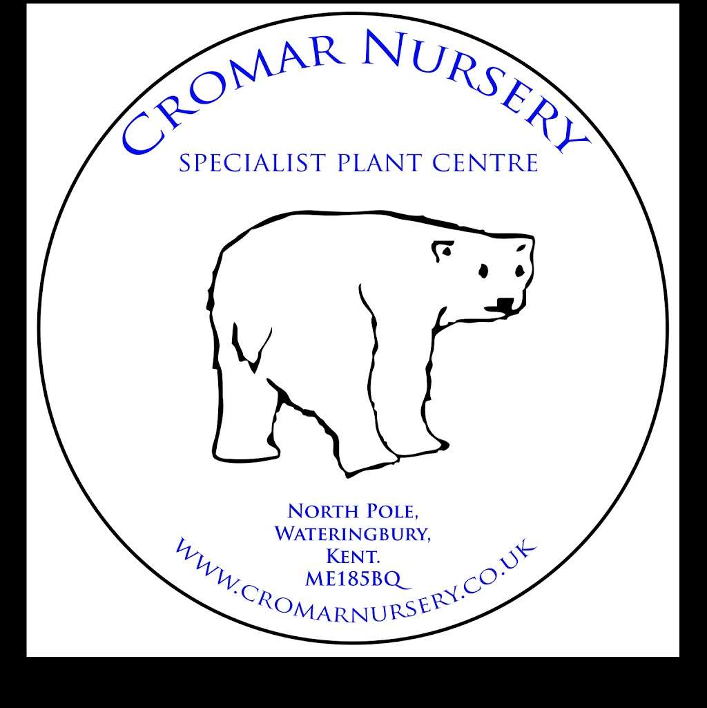 Cromar Nursery | 39 Livesey St, Maidstone ME18 5BQ, UK | Phone: 01622 812380