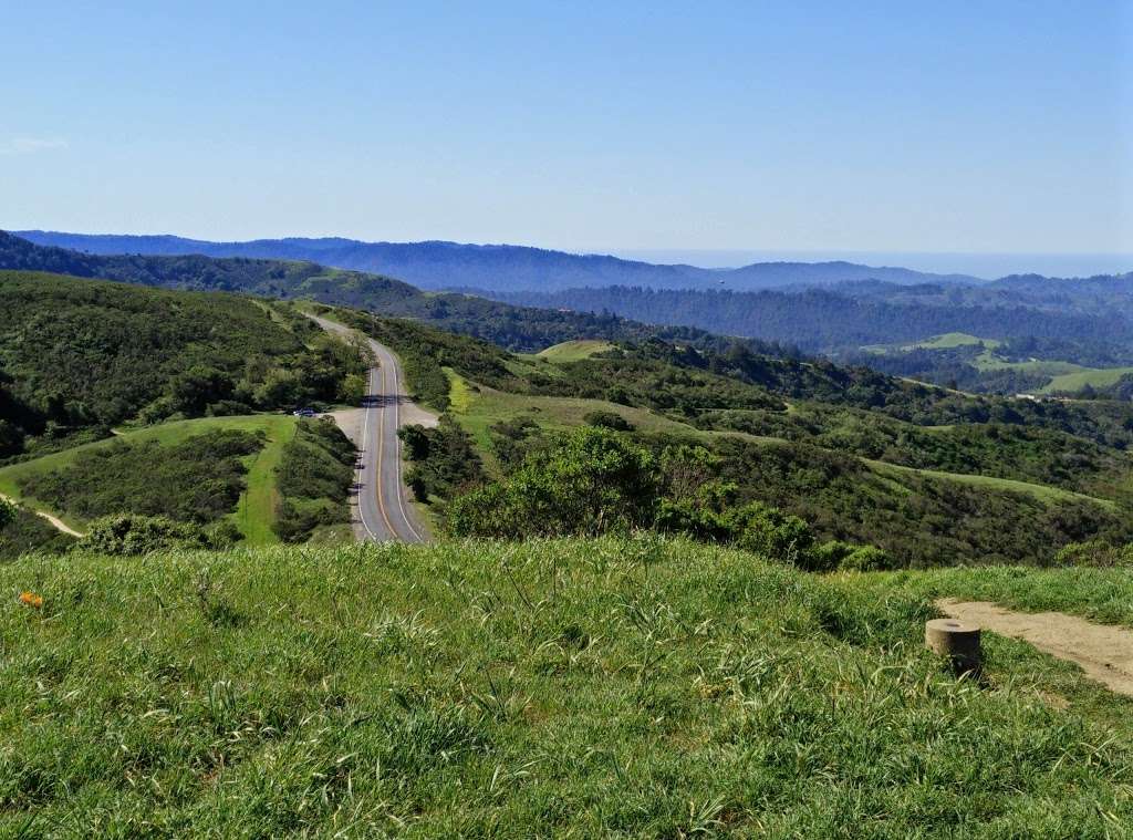 Windy Hill Open Space Preserve | Portola Valley, CA 94028, USA | Phone: (650) 691-1200