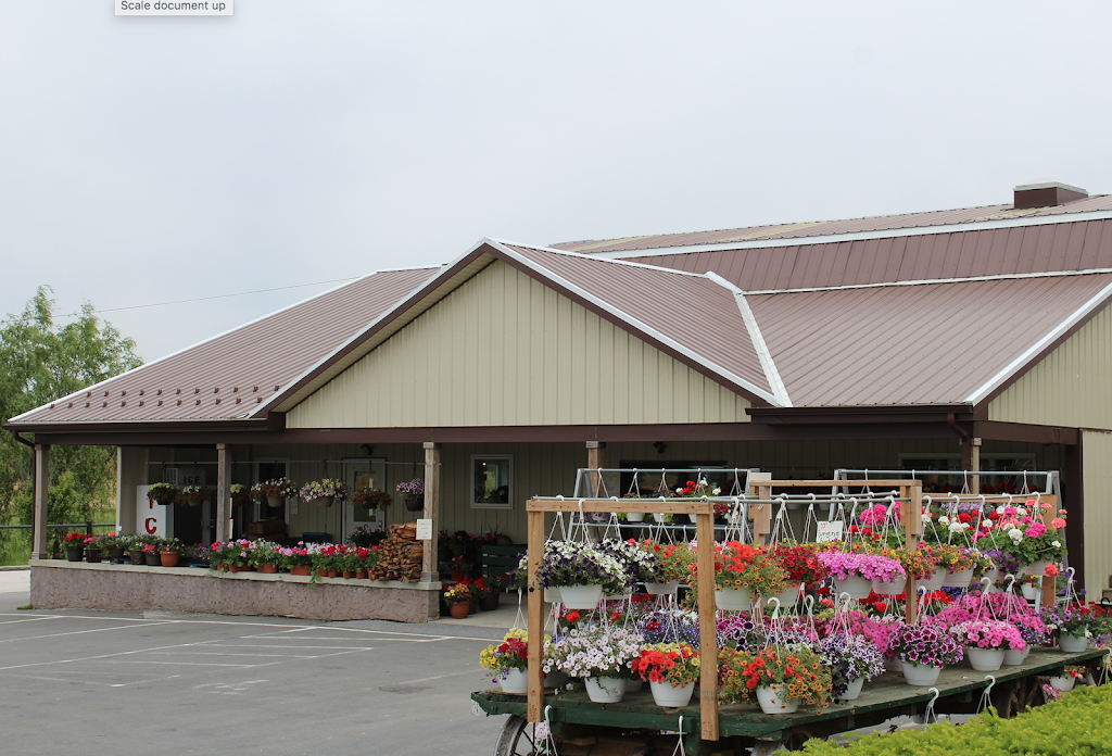 Route 10 Roadside Market | 941 Compass Rd, Honey Brook, PA 19344 | Phone: (610) 273-3796