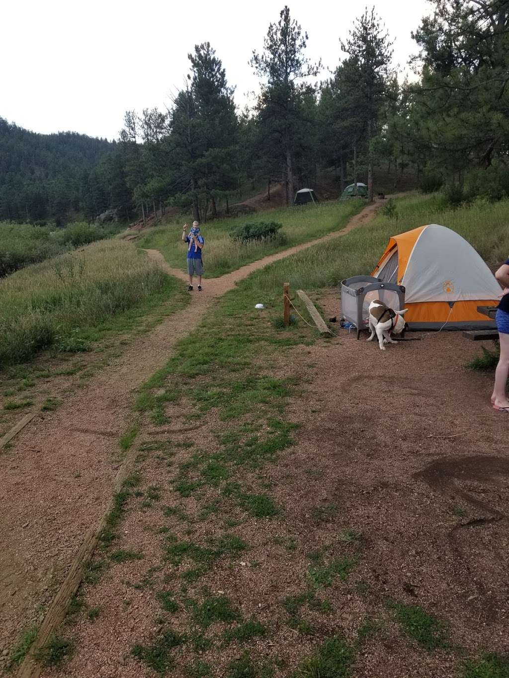 Platte River Campground | CO-67, Deckers, CO 80135, USA | Phone: (303) 275-5610