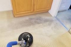 Horton Carpet Cleaning | 12424 S 37th Ct, Phoenix, AZ 85044, United States | Phone: (602) 300-5986