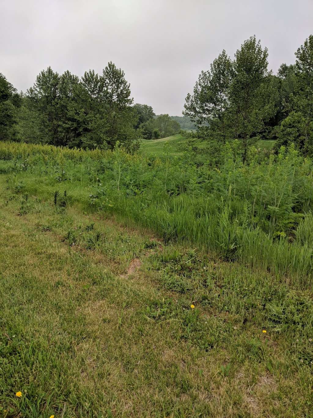 Little Blue Trace - Hartman Heritage Trailhead | Independence, MO 64057, USA