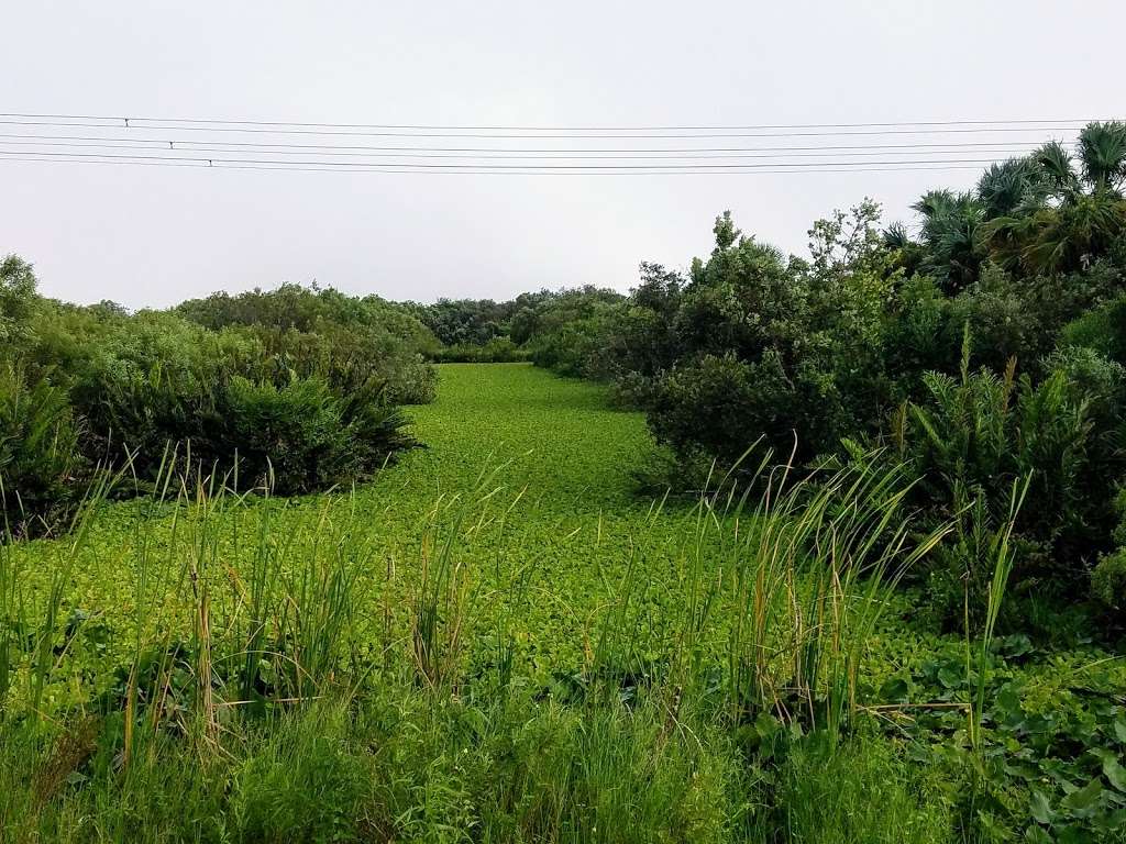 Holey Land Wildlife Management Area | Florida, USA