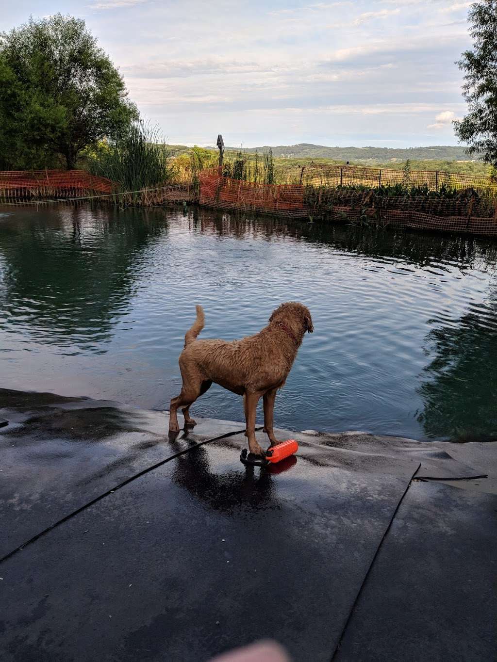 Barkby Plungers | 4515 Ore Bank Rd, York, PA 17406, USA | Phone: (717) 968-6864