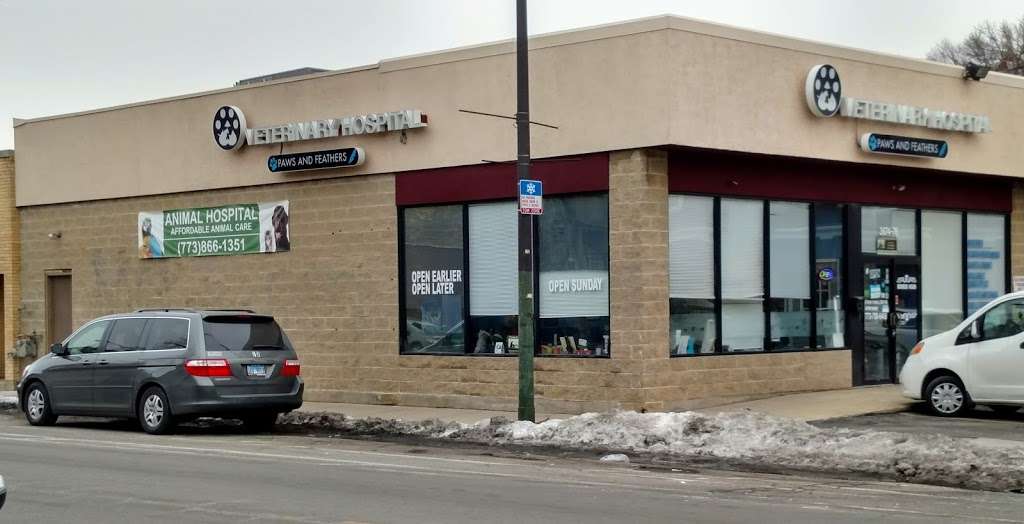 Paws and Feathers Veterinary Clinic Inc | 3674 N Elston Ave, Chicago, IL 60618, USA | Phone: (773) 866-1351