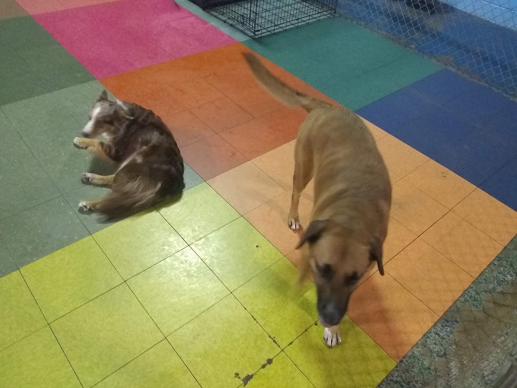 BauserHaus | 2818 Breckenridge Industrial Ct, St. Louis, MO 63144, USA | Phone: (314) 961-3911