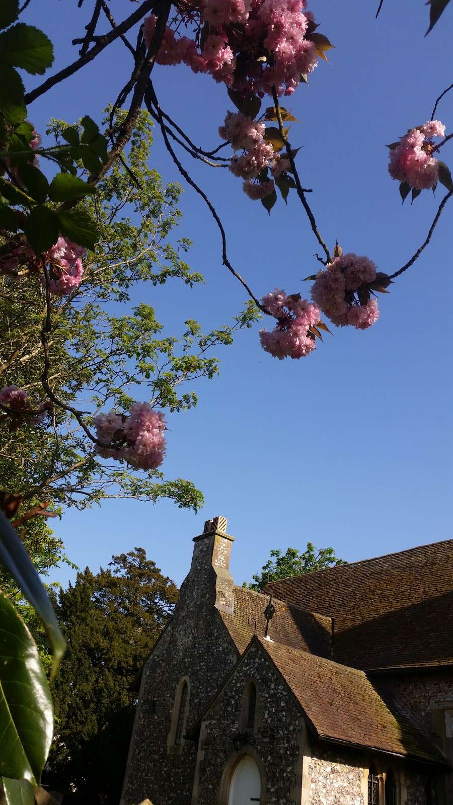 Downe Church Cemetery | Downe, Orpington BR6 7JN, UK