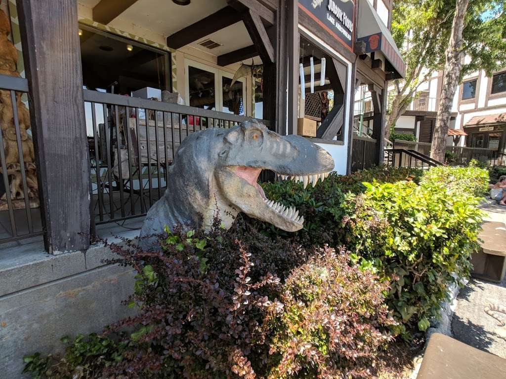 Jurassic Fossils | 28200 CA-189, Lake Arrowhead, CA 92352 | Phone: (909) 589-9045