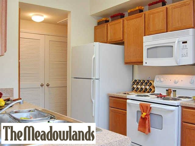 Meadowland Apartment Homes | 12424 Steeple Way Blvd, Houston, TX 77065, USA | Phone: (281) 894-7500