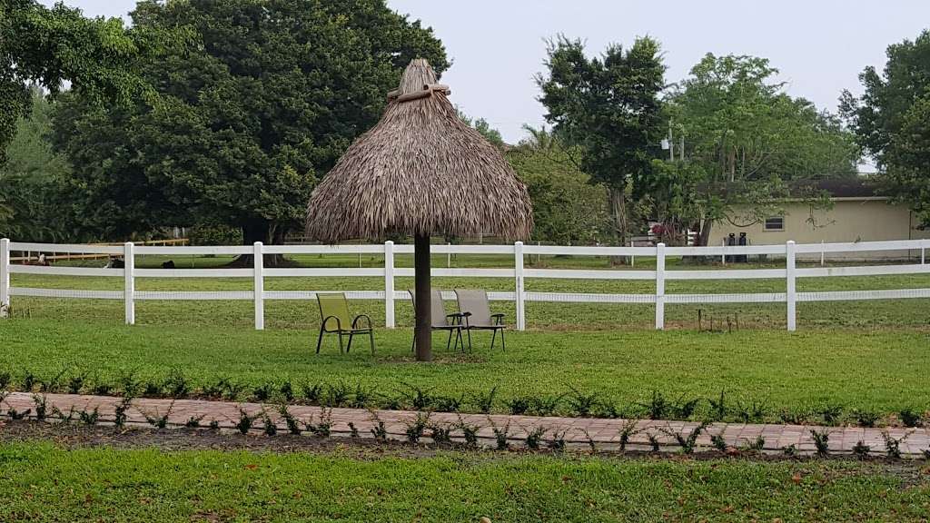 Sunset View Ranches | 2801 SW 148th Ave, Davie, FL 33331, USA | Phone: (954) 681-9305