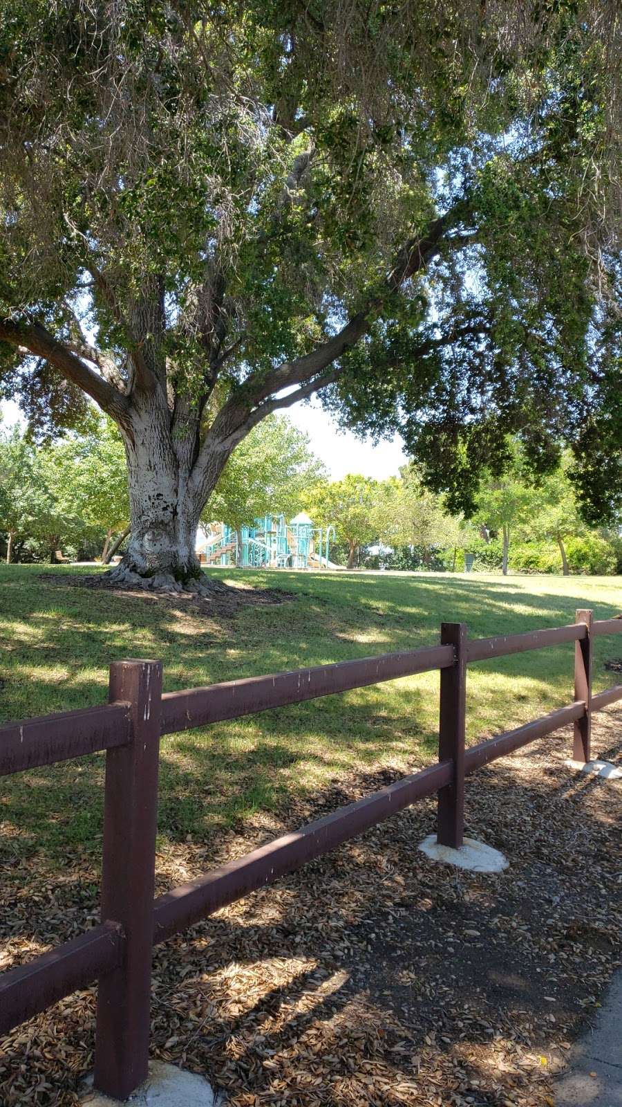 Independence Park Playground | 2493 Regent Rd, Livermore, CA 94550, USA