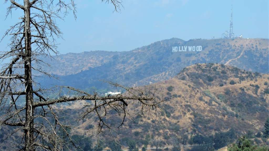 Firebreak Trail to Griffith Observatory | Western Canyon Rd, Los Angeles, CA 90068, USA