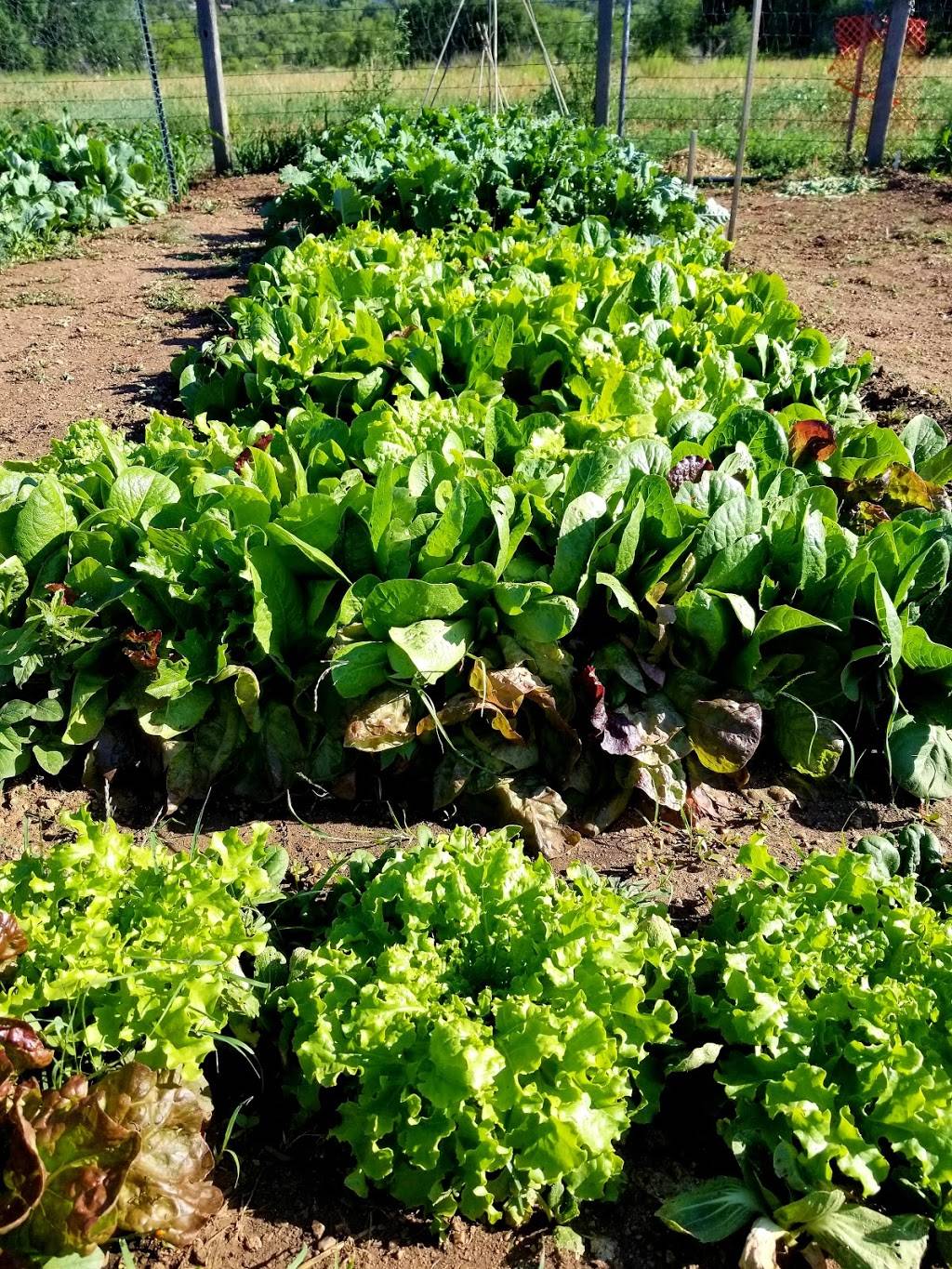 Charmaine Nymann Community Garden at Bear Creek Regional Park | Creek Crossing St, Colorado Springs, CO 80905 | Phone: (719) 634-4433