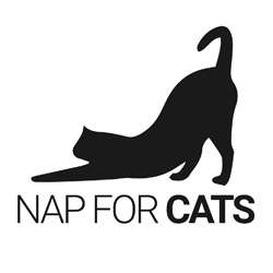 Nap for Cats | 185 Liberty Street A12, Little Ferry, NJ 07643, USA | Phone: (201) 207-8864