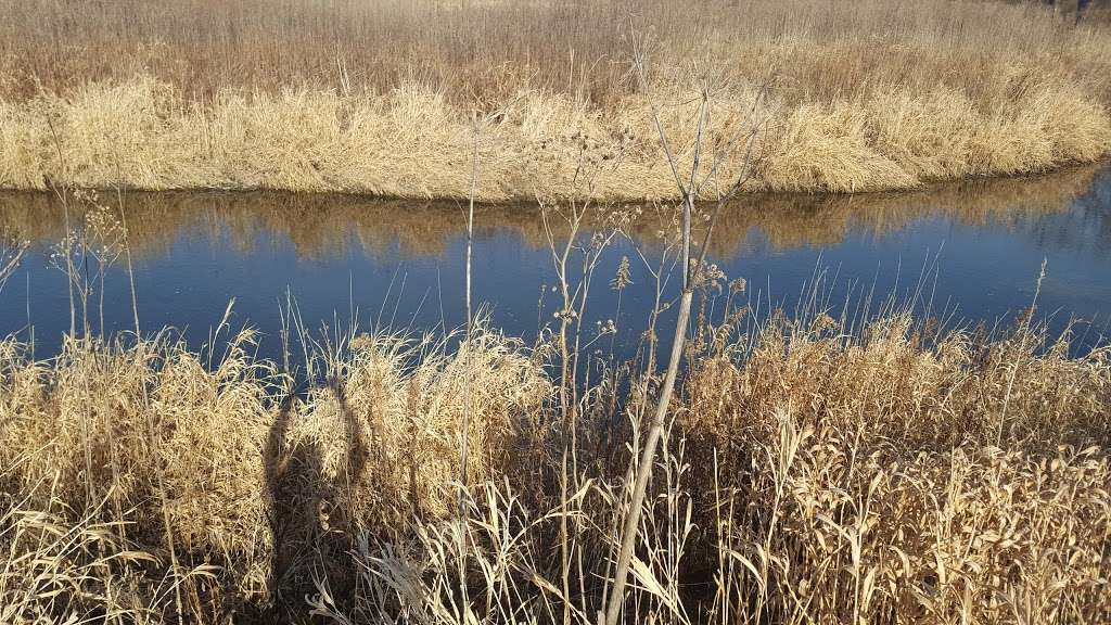 Creek Bend Nature Center | 37W700 Dean St, St. Charles, IL 60175, USA | Phone: (630) 444-3190