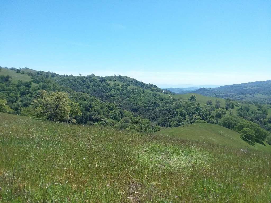 Joseph D. Grant County Park | 18405 Mt Hamilton Rd, Mt Hamilton, CA 95140, USA | Phone: (408) 274-6121