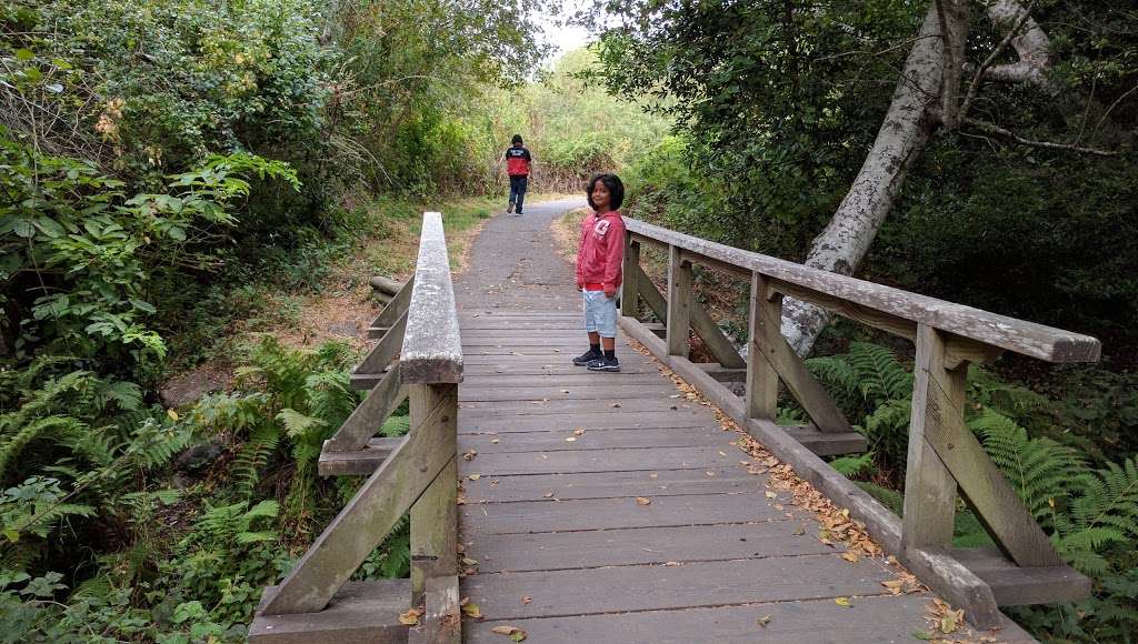 Bear Valley Visitor Center | California 94956