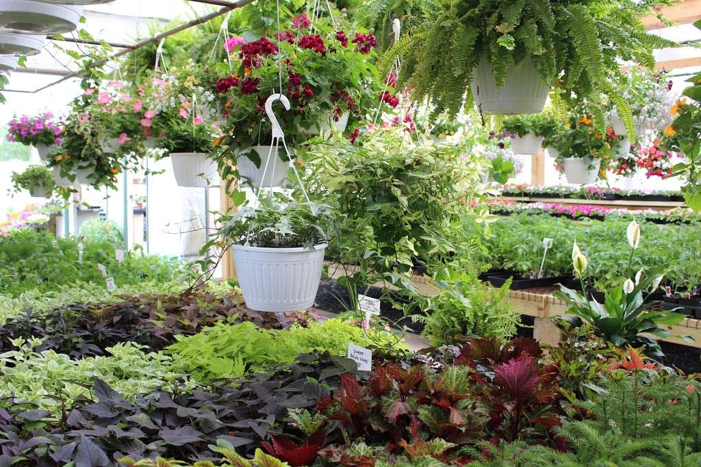 Hidden Acres Greenhouse | 956 Fallowfield Rd, Atglen, PA 19310, USA | Phone: (610) 593-7365