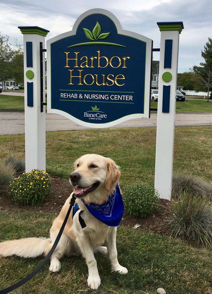 Harbor House Rehabilitation & Nursing Center | 11 Condito Rd, Hingham, MA 02043 | Phone: (781) 749-4774