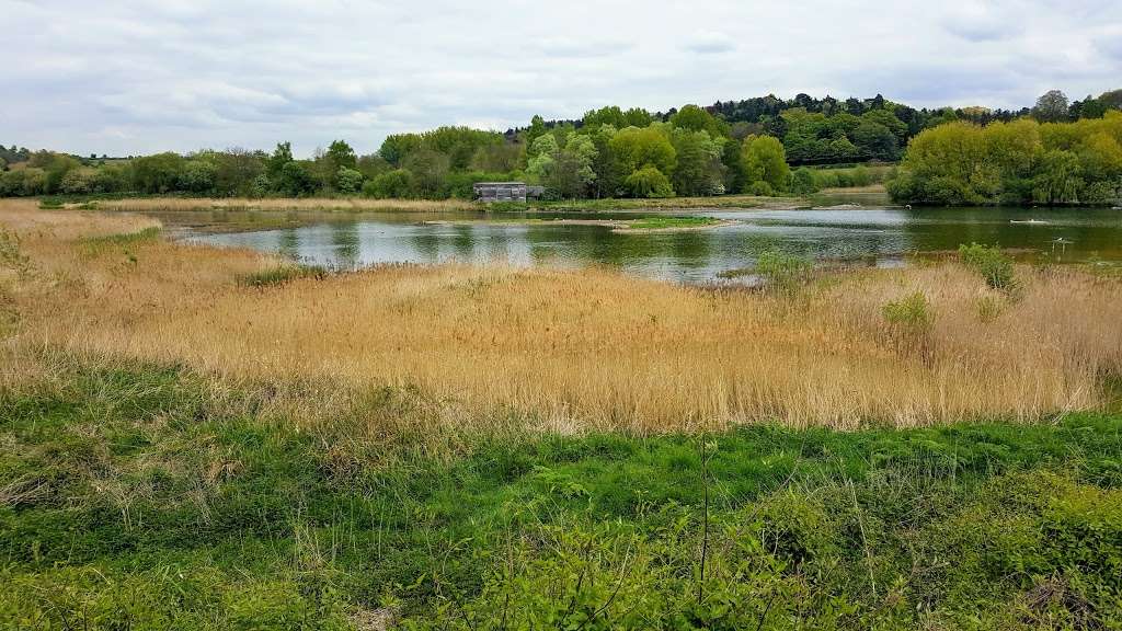 Amwell Quarry Nature Reserve | Ware SG12, UK