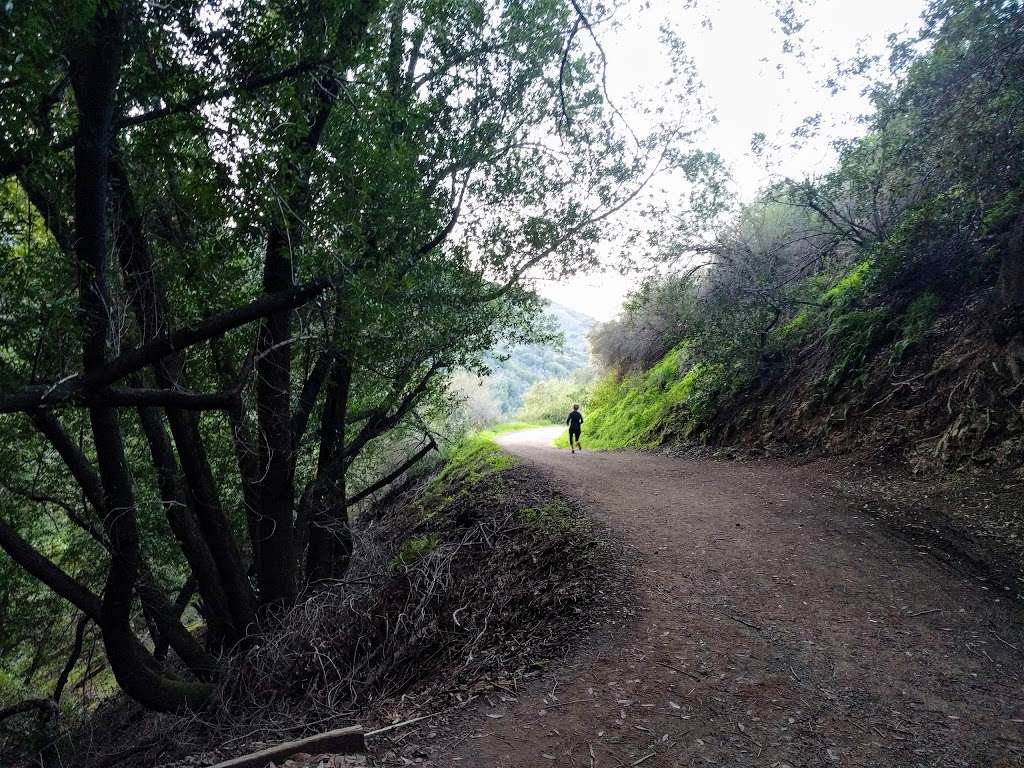 Jones Trail | Alma Bridge Rd & Jones Trail, Los Gatos, CA 95030, USA | Phone: (650) 968-4411