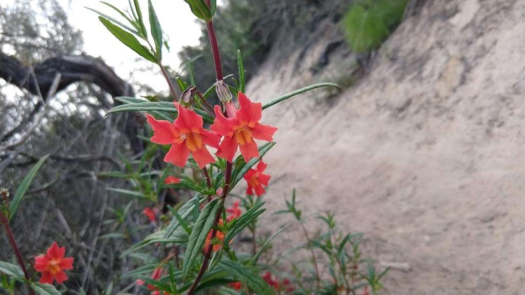 Shaw Valley Trailhead | Unnamed Road, San Diego, CA 92130