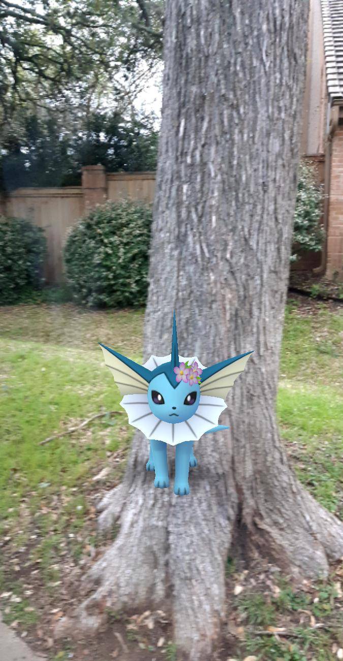 Balcones Tennis Academy | 11210 Spicewood Club Dr, Austin, TX 78750, USA | Phone: (512) 258-6672