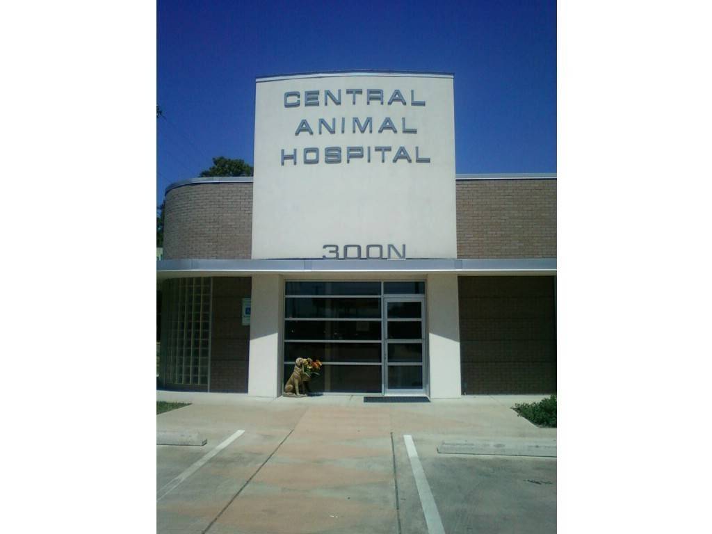 Central Animal Hospital | 300 N University Dr, Fort Worth, TX 76107, USA | Phone: (817) 332-3518