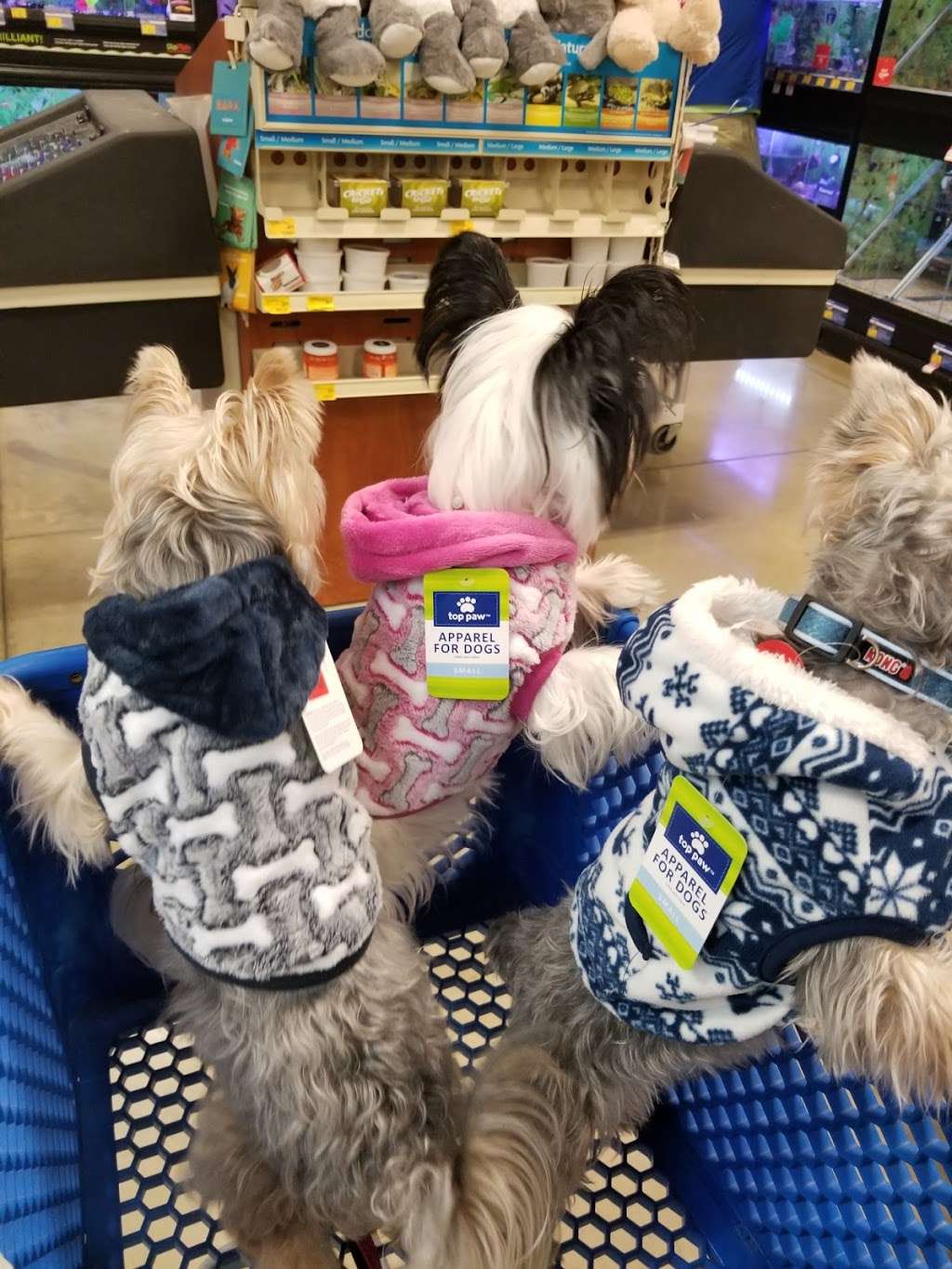 PetSmart 17815 La Cantera Pkwy, San Antonio, TX 78257