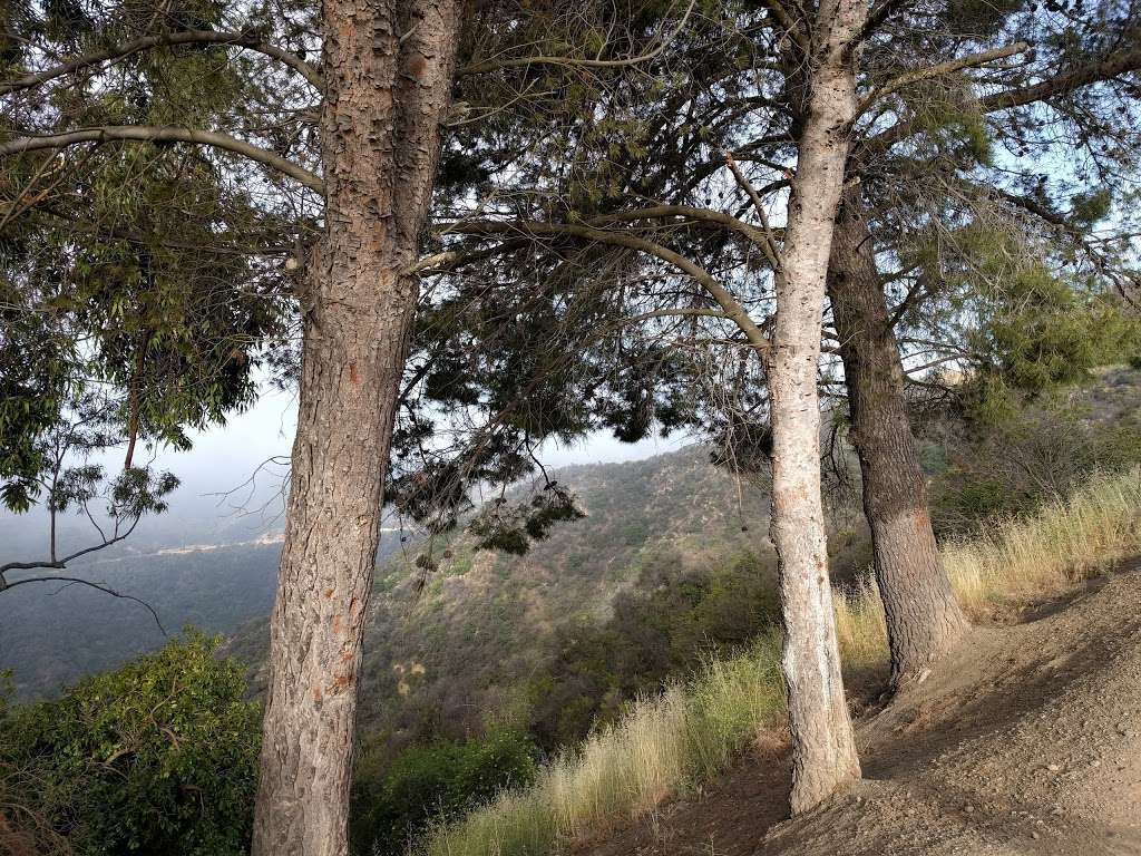 Westridge Trailhead | W Mandeville Fire Rd, Los Angeles, CA 90049