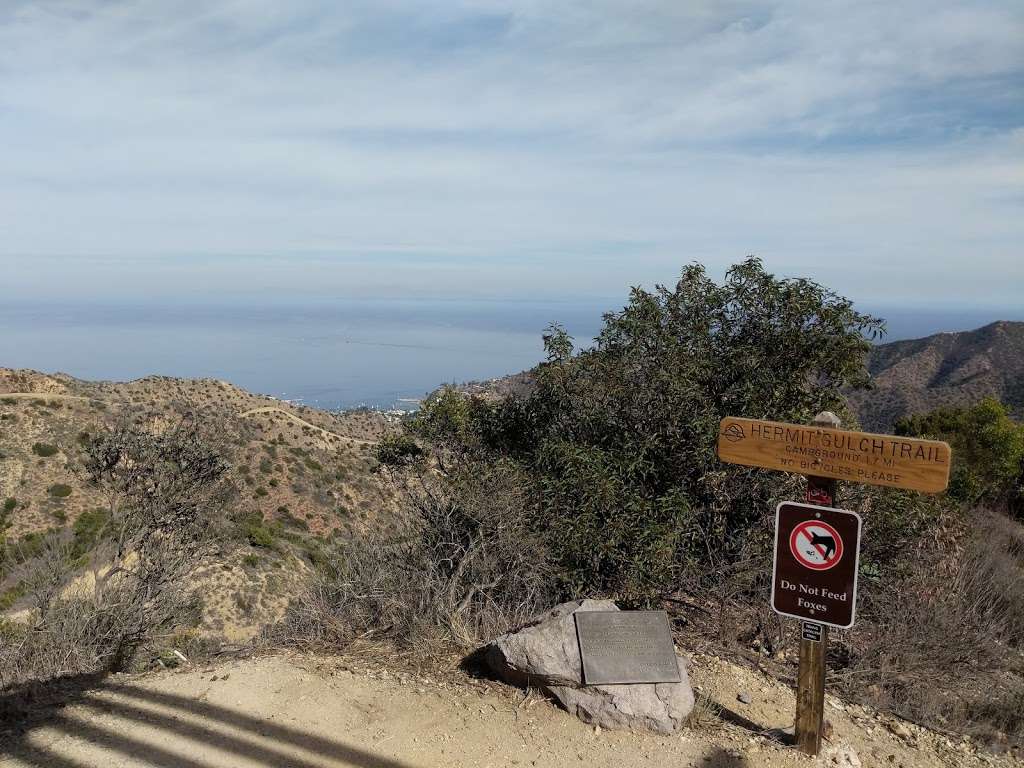 Hermit Gulch Lookout | 2983-3155 Divide Rd, Avalon, CA 90704, USA