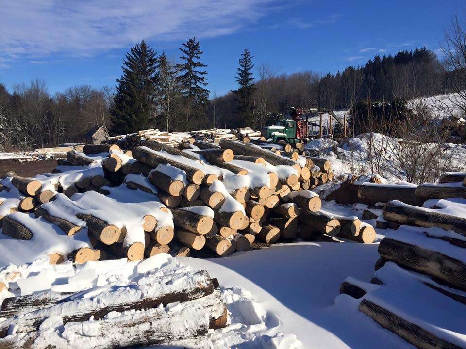 Independence Timber Company Inc. | 1577 PA-106, Clifford, PA 18413, USA | Phone: (570) 222-9651