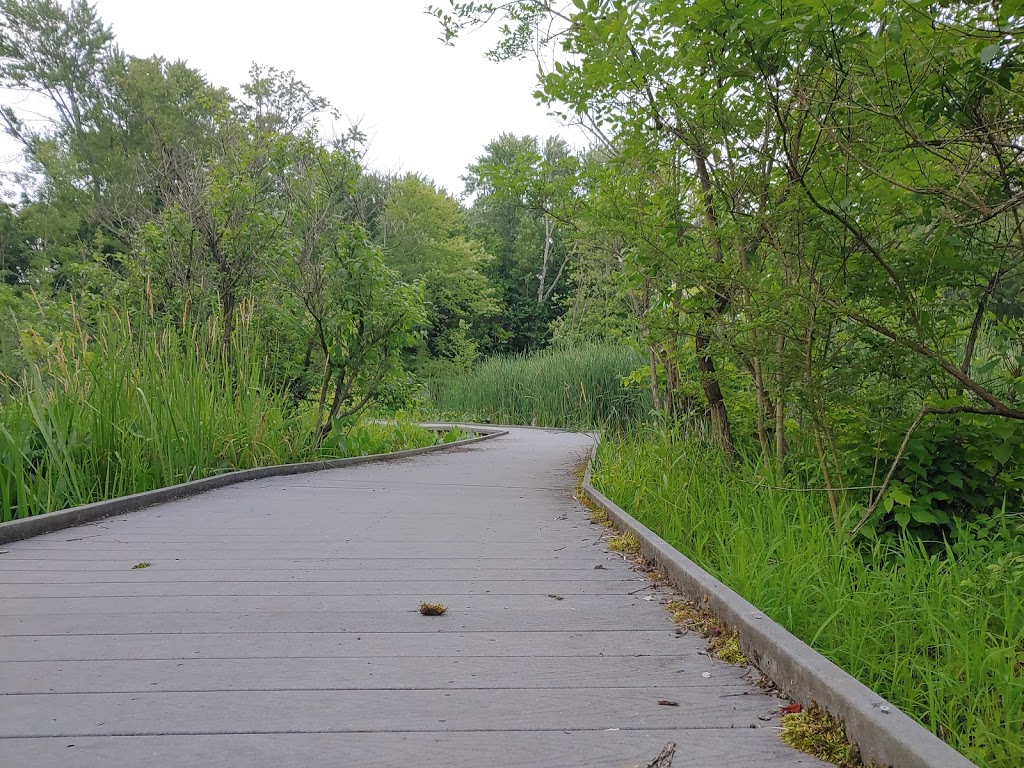 Boyer Nature Preserve | 452 E Park St, Westerville, OH 43081, USA | Phone: (614) 901-6500