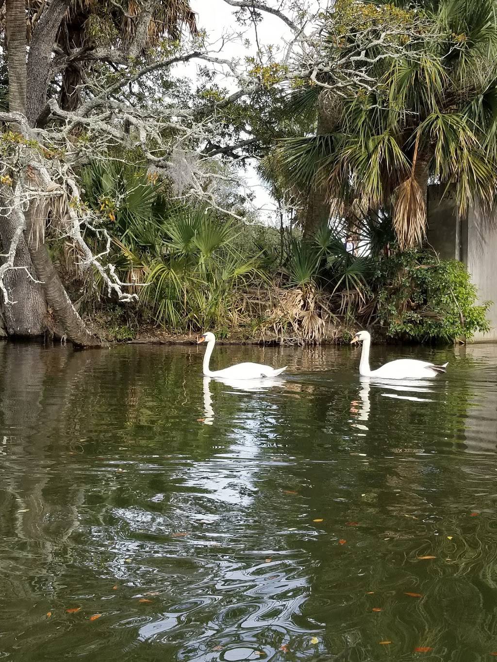 Hampton Tennis & Fitness LLC | 1 Palm Dr, New Orleans, LA 70124, USA | Phone: (504) 881-4809