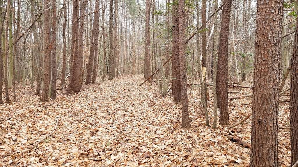 Forest Trail | Forest Trail, Laurel, MD 20724, USA