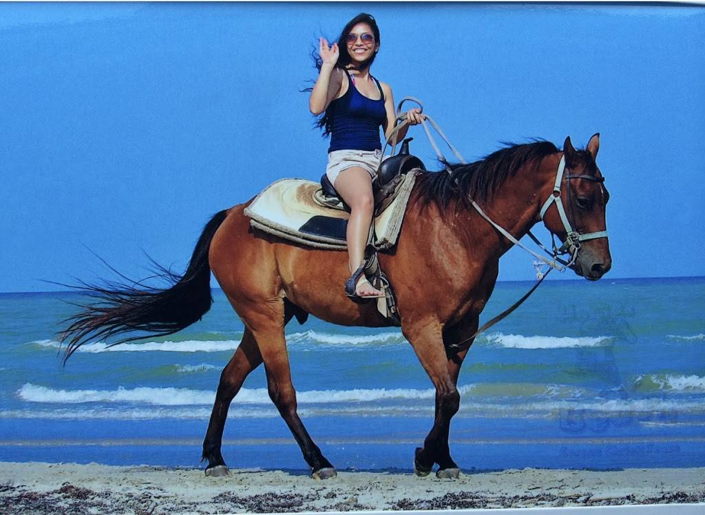 Horses on the Beach | 16562 S Padre Island Dr, Corpus Christi, TX 78418, USA | Phone: (361) 949-4944