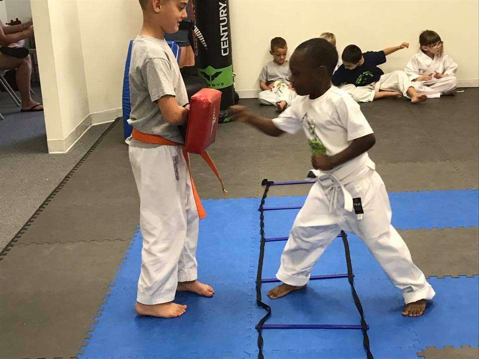 Anshin Kai Martial Arts, inc. | 2714 Pulaski Hwy #1, Edgewood, MD 21040, USA | Phone: (410) 446-9308