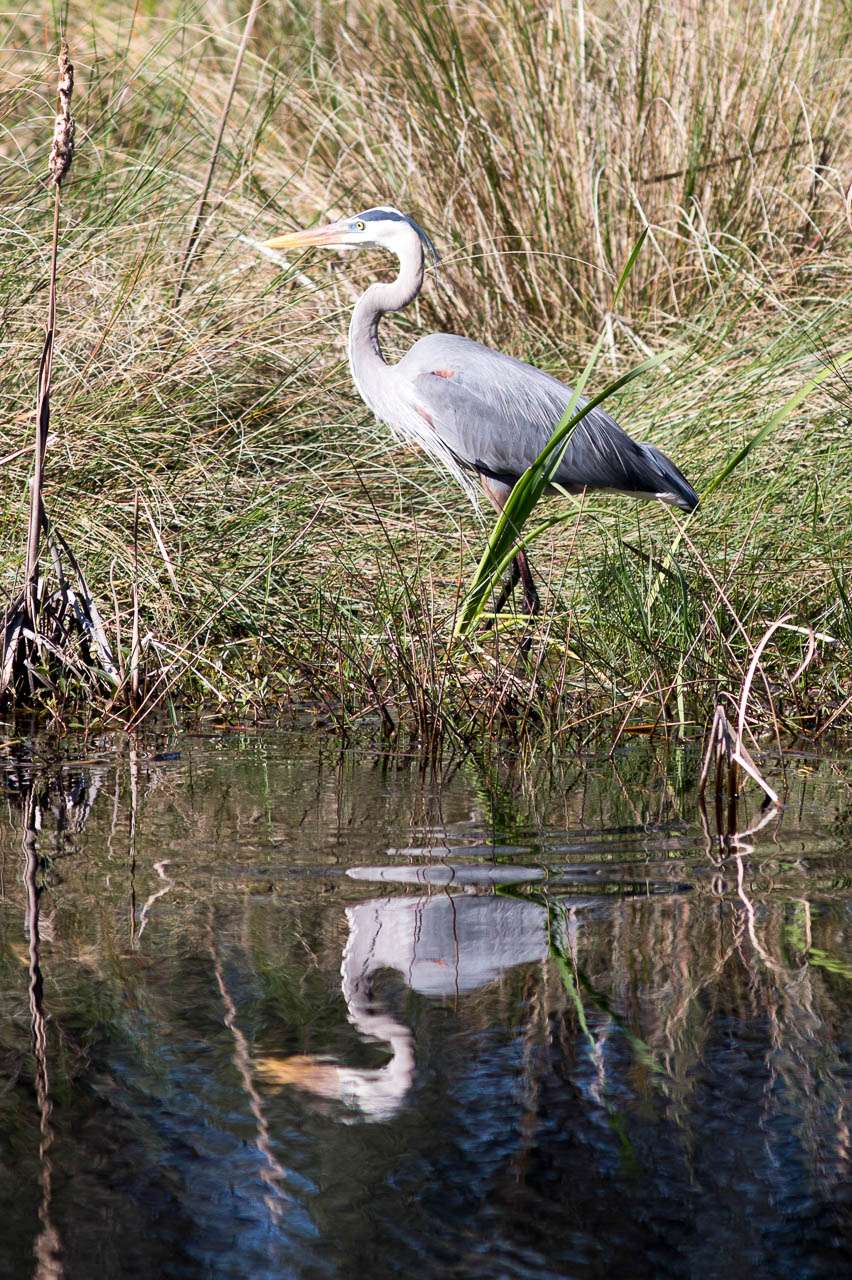 Lake Woodruff Reserve | De Leon Springs, FL 32130, USA