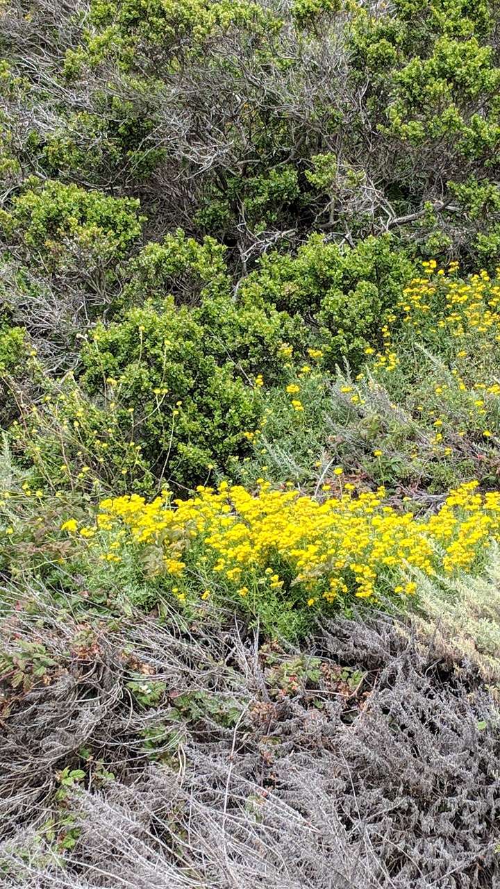 Devils Slide Trail | 5929-5981 California Coastal Trail, Pacifica, CA 94044