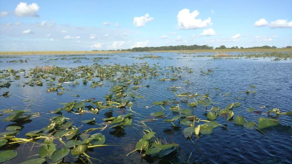 East Coast Buffer Water Preserve Area | Weston, FL 33332, USA | Phone: (866) 433-6312