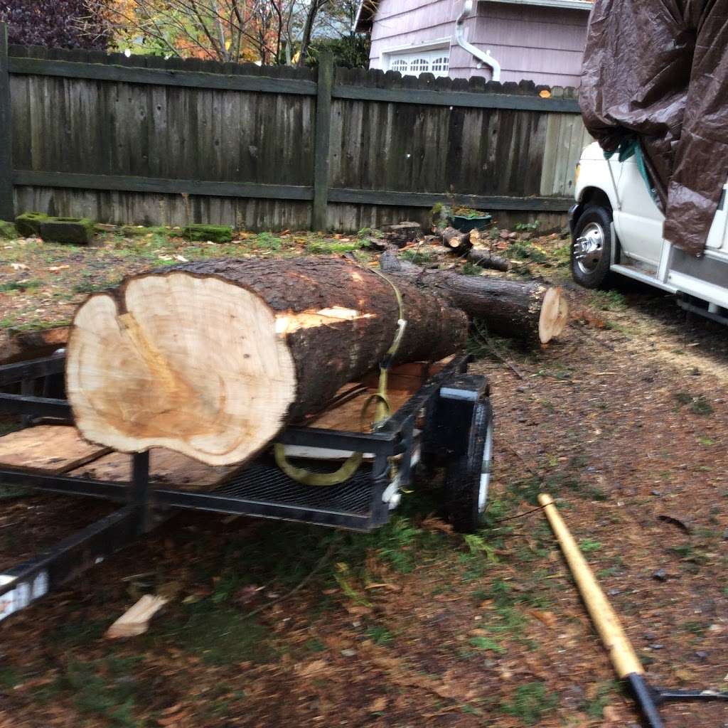 Eco Friendly Lumber | 3407 Sanders Ln, Catharpin, VA 20143, USA | Phone: (703) 881-1966