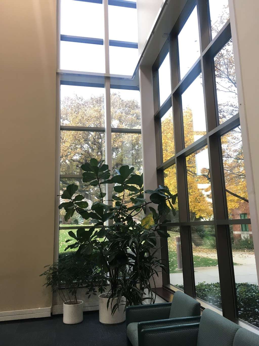 Jennie Huizenga Memorial Library at Trinity Christian College | 6601 W College Dr, Palos Heights, IL 60463, USA | Phone: (708) 293-4925